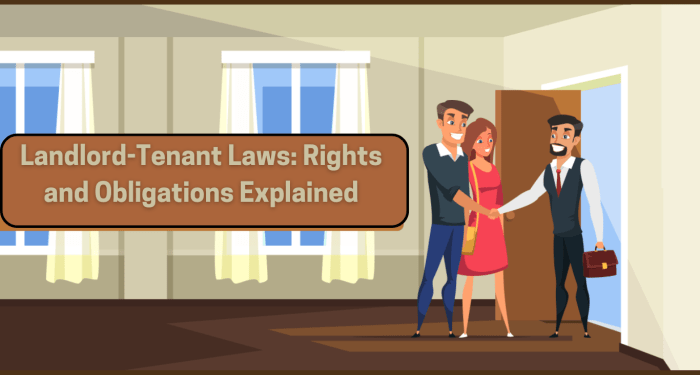[OC] Landlord vs Tenant Responsibilities : r/Infographics